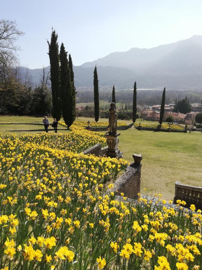 Apartament Giardino Porto Valtravaglia Zewnętrze zdjęcie
